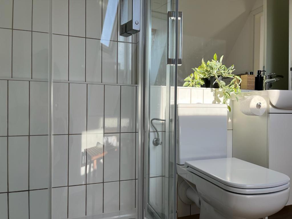 Mathias Premium Apartments Szeged Ngoại thất bức ảnh